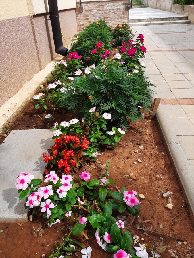 Apartmani Lea Starigrad Paklenica Ngoại thất bức ảnh